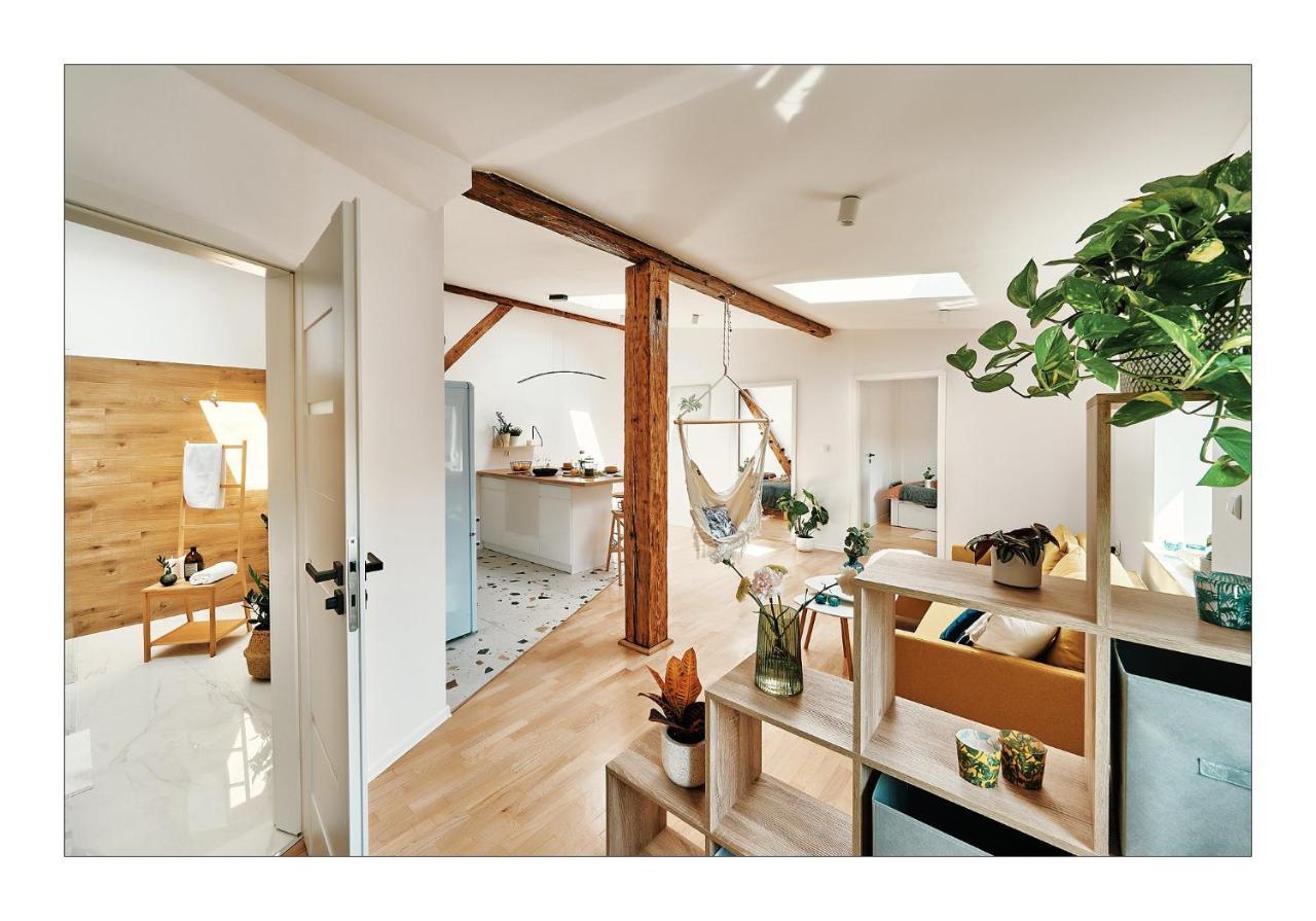 קרקוב Sunny Apartment At The Heart Of Old Town מראה חיצוני תמונה